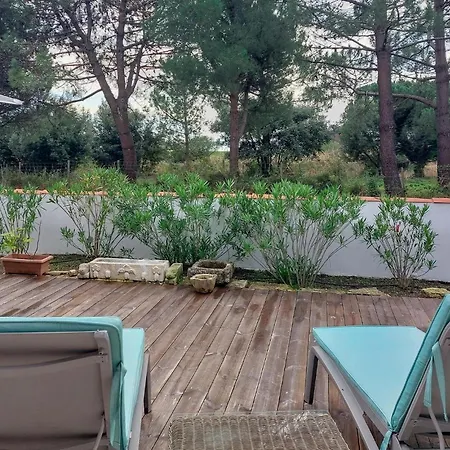 Belle Vue * Saint-Trojan-les-Bains